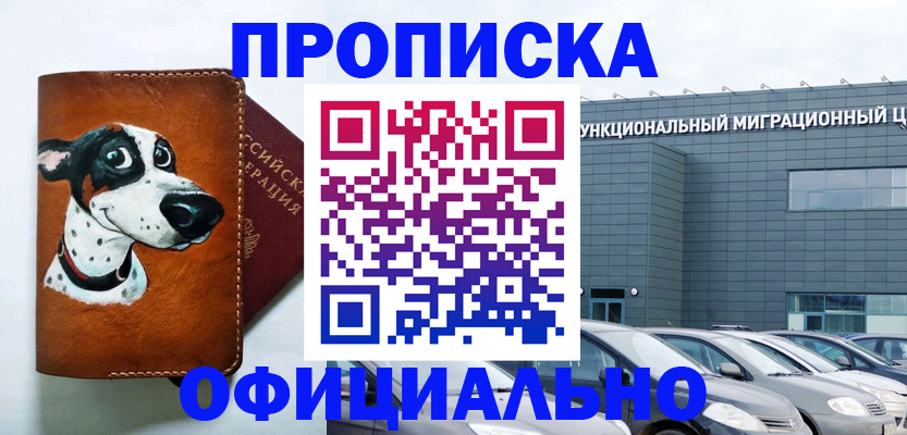 временная прописка в Медногорске